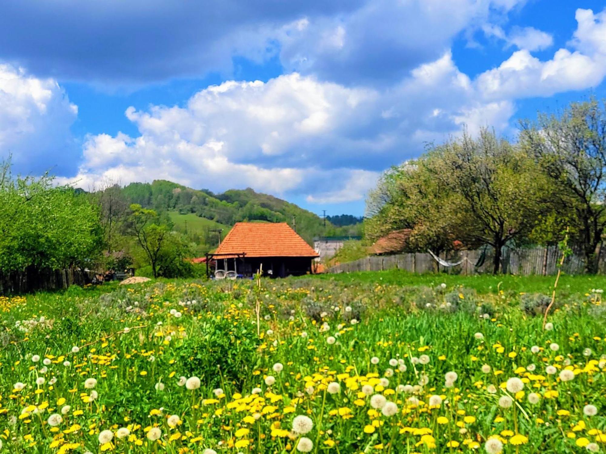 Casa Cu Lavanda Petroşani Exterior foto
